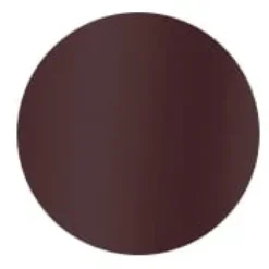 INDELIBLE STICK EYESHADOW