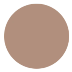 INDELIBLE STICK EYESHADOW