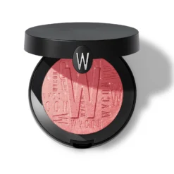 VISIONARY HIGHLIGHTER